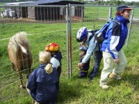 /album/fotogalerie/imag0008-jpg/